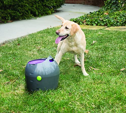The Latest PetSafe Automatic Ball Launcher Review
