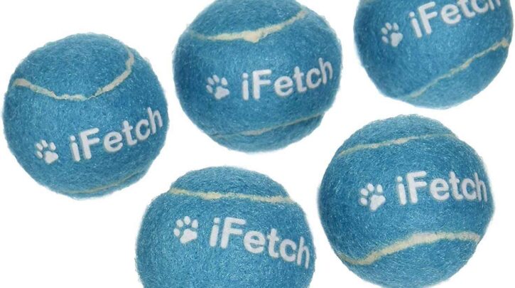 Best Ball To Use For The iFetch