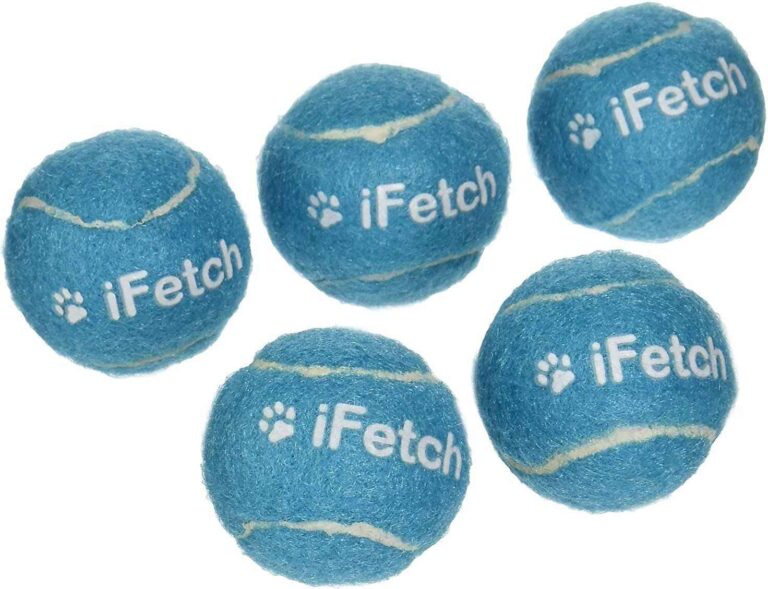 What’s The Best Ball To Use For The iFetch (And iFetch Too)?