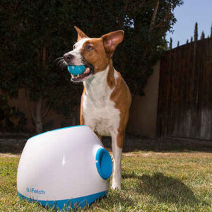 iFetch Ball Launcher for Large Dogs