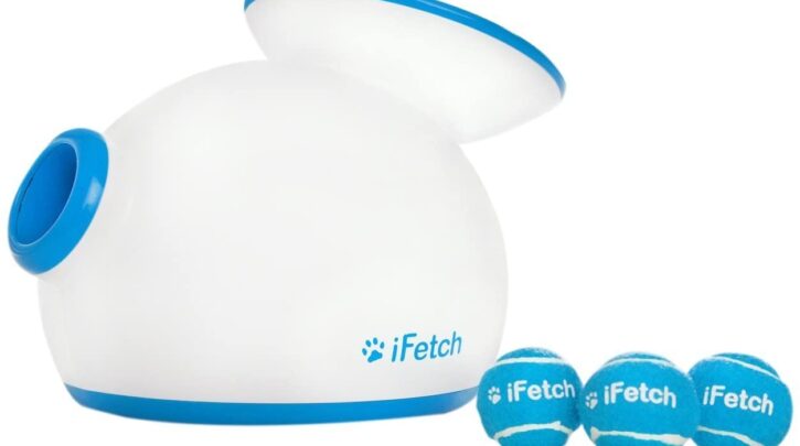 iFetch ball launcher for small dogs