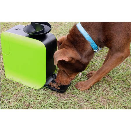 Dog Ball Launcher With Treat Dispenser Review – FULL GUIDE