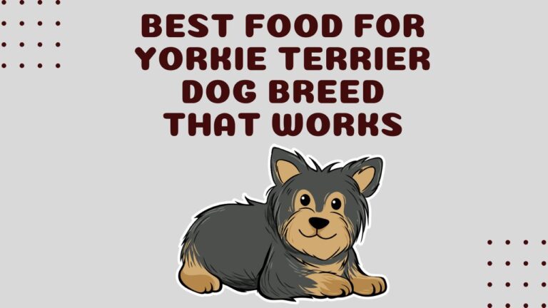 TOP 8 Best Food for Yorkie Terrier Dog Breed that WORKS
