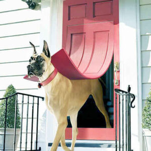 Best Dog Door For Great Danes